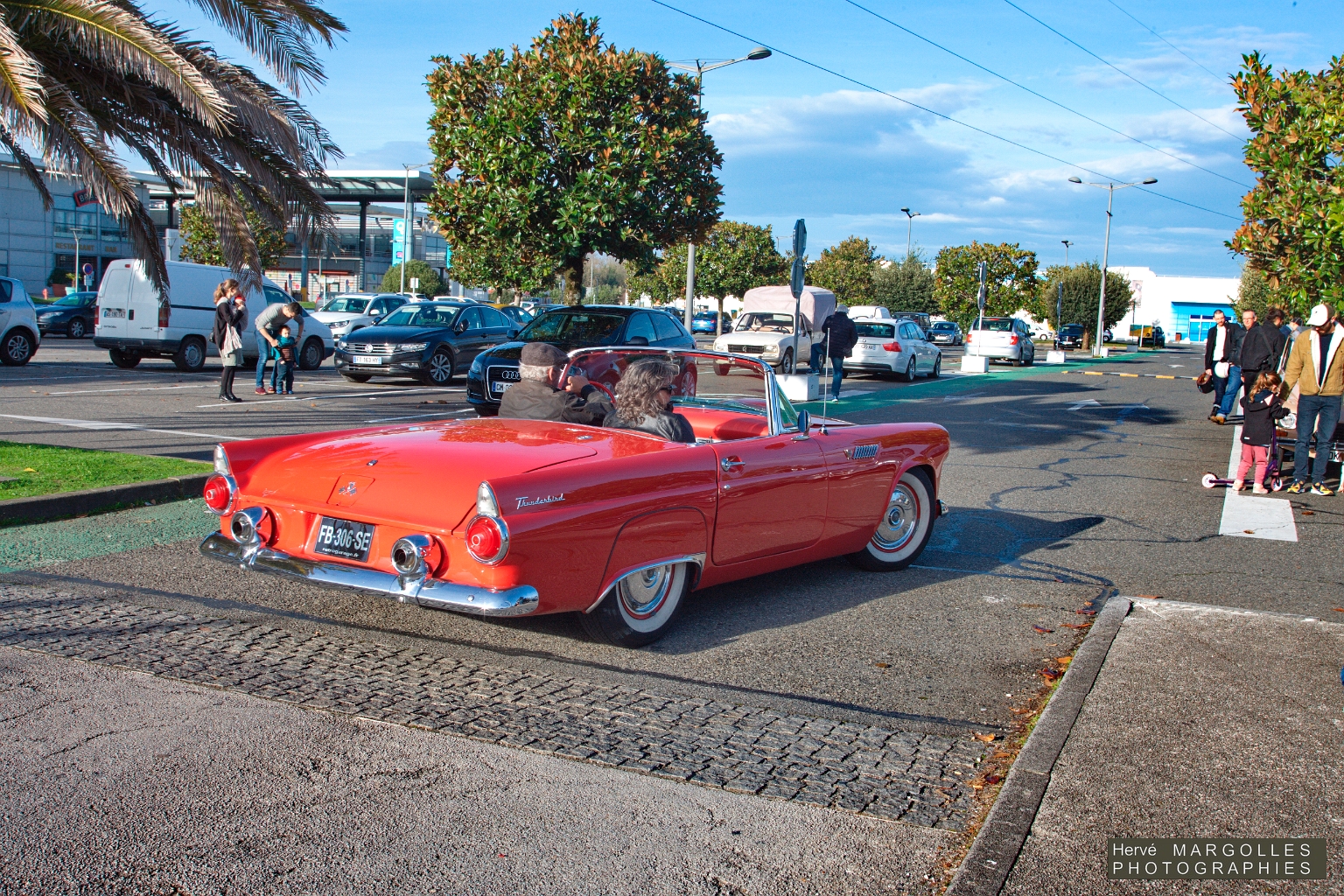 Ford Thunderrbird_01.jpg